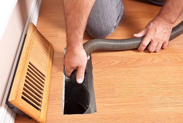 Best Air Duct Mold Removal  in Buena Park, CA